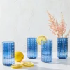 Darbie Angell Dappled Clouds Cobalt Set of 4 Highball Glasses- Drinking Glasses