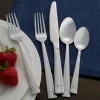 Pfaltzgraff® Dawson Frost 20 Piece Flatware Set, Service for 4- Sets