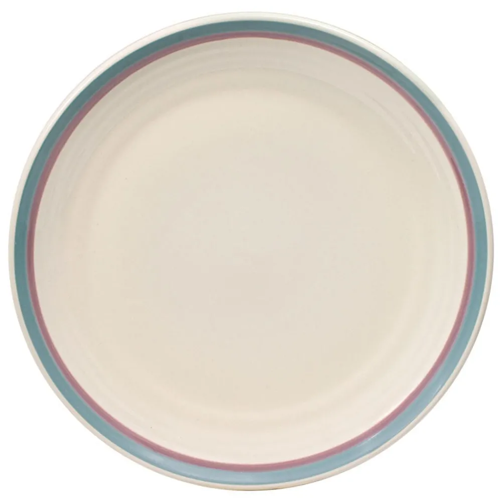 Pfaltzgraff® Juniper® Set of 4 Dinner Plates- Dinner Plates