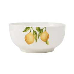 Studio Nova Lemons 16 Piece Dinnerware Set, Service for 4- Dinnerware Service For 4