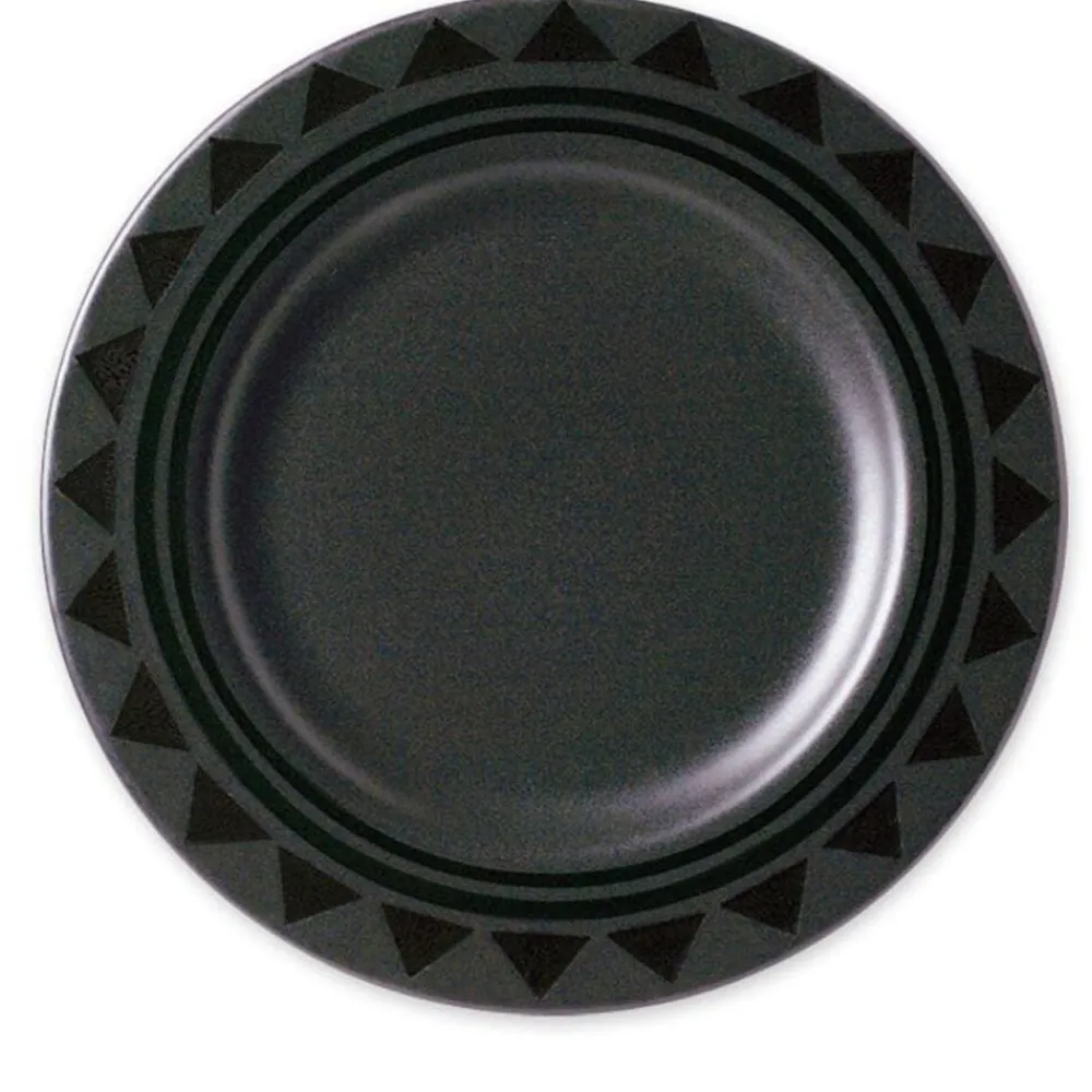 Pfaltzgraff® Midnight Sun® Set of 4 Dinner Plates- Dinner Plates