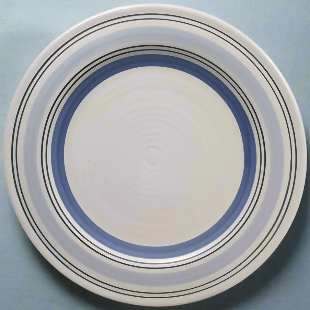 Pfaltzgraff® Rio Dinner Plate- Dinner Plates