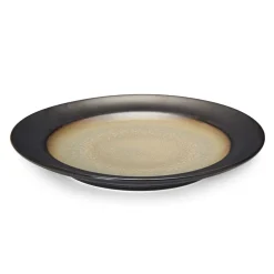 Gourmet Basics® Sandstone Set of 4 Dinner Plates- Dinner Plates